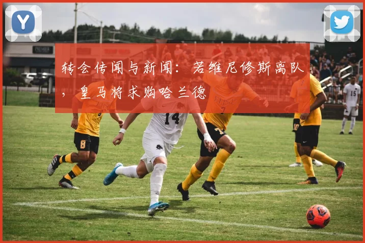 转会传闻与新闻：若维尼修斯离队，皇马将求购哈兰德